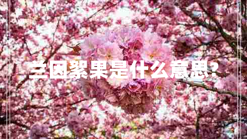 兰因絮果是什么意思?