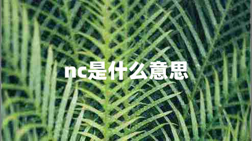 nc是什么意思