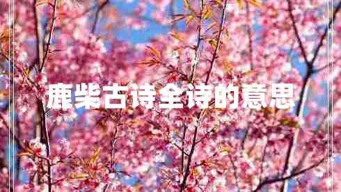鹿柴古诗全诗的意思