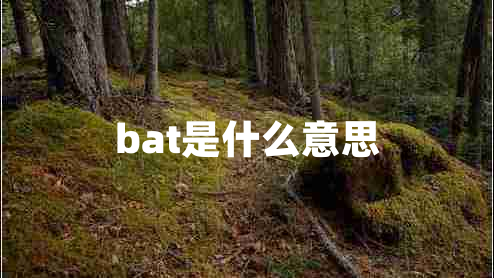 bat是什么意思