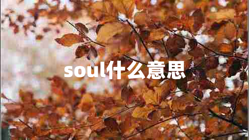 soul什么意思