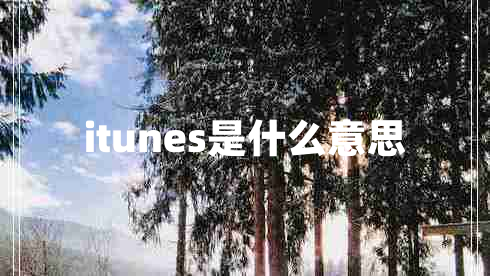 itunes是什么意思