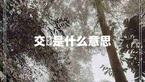 交姤是什么意思