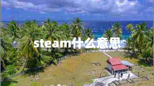 steam什么意思