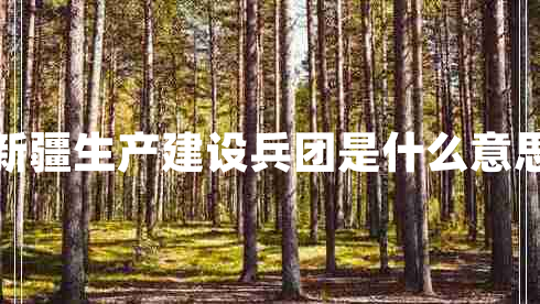 新疆生产建设兵团是什么意思