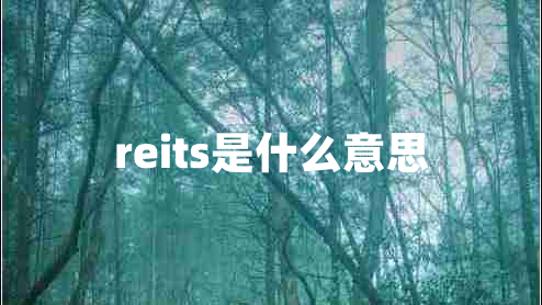 reits是什么意思