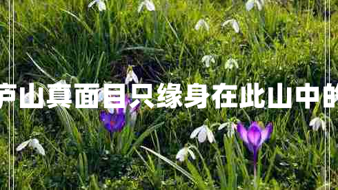 不识庐山真面目只缘身在此山中的意思