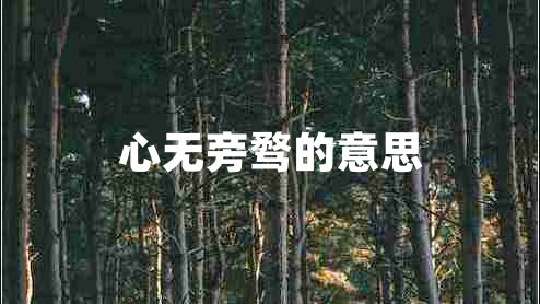 心无旁骛的意思