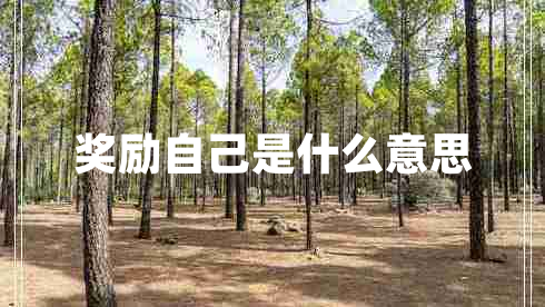 奖励自己是什么意思