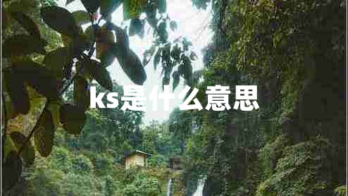 ks是什么意思