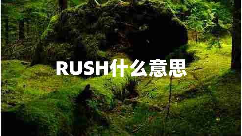 RUSH什么意思