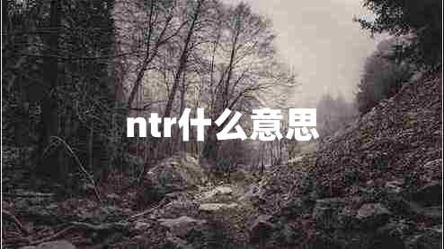 ntr什么意思 ntr什么意思