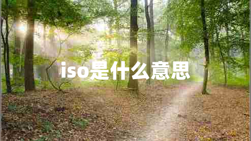 iso是什么意思