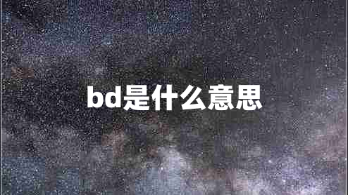 bd是什么意思