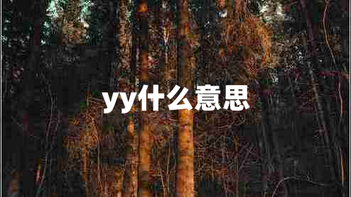 yy什么意思