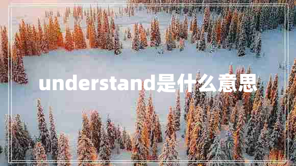 understand是什么意思