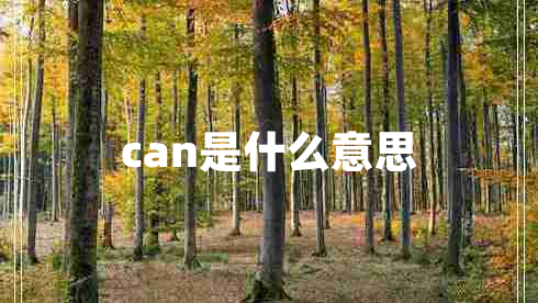 can是什么意思