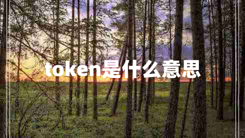 token是什么意思