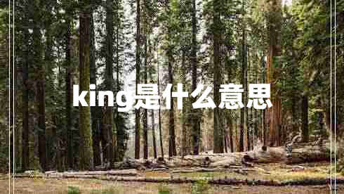 king是什么意思