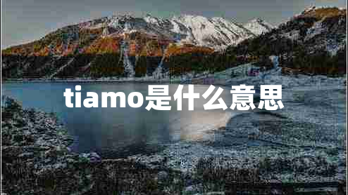 tiamo是什么意思