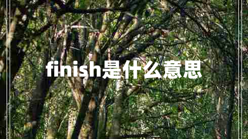 finish是什么意思