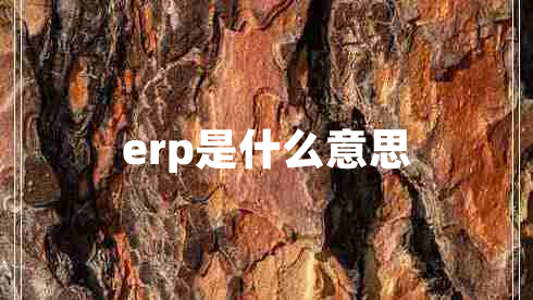 erp是什么意思