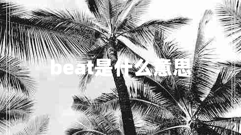 beat是什么意思