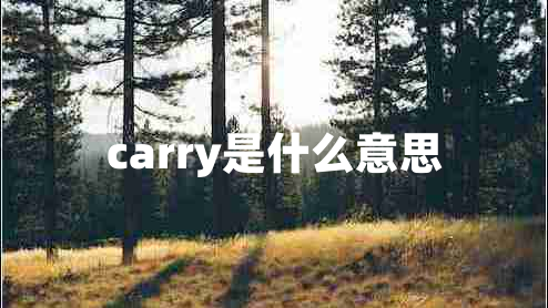 carry是什么意思