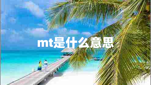 mt是什么意思