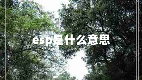 esp是什么意思