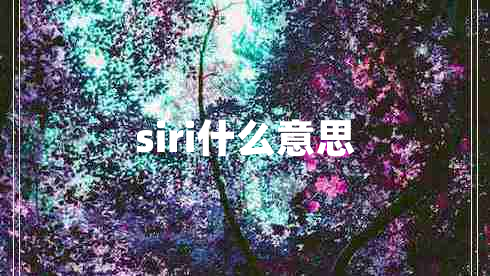 siri什么意思