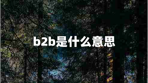 b2b是什么意思