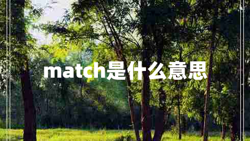 match是什么意思