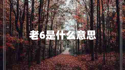 老6是什么意思