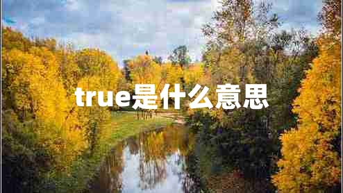 true是什么意思