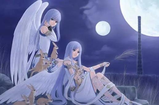 双子座和什么座最配