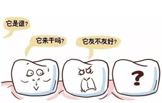 智齿到底要不要拔