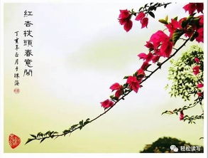 红杏枝头春意闹典故