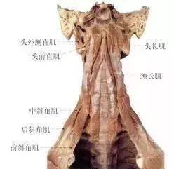 掘地三尺典故,掘地三尺,掘地三尺出处