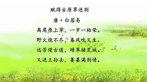 典故子规啼月