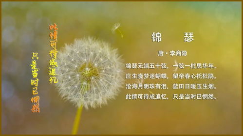 分析《锦瑟》中的典故