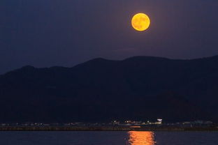 今晚月色真美的典故,今晚的月色真美,月色真美日语