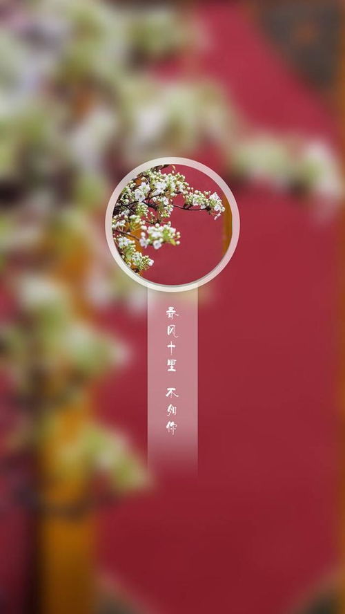 春风十里的典故