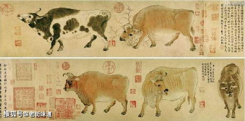 牛背语典故