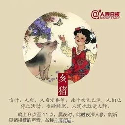 猪典故