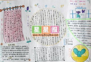 典故,手抄报,文学