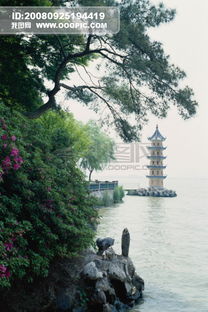 莲的民风民俗典故风景