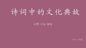鱼书典故