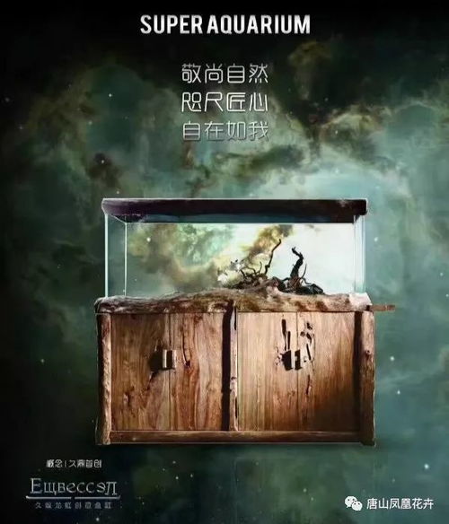 以典故为题