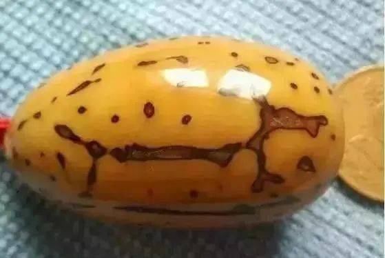 百香籽典故